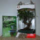 Darčekové balenie s bonsajom do 70 €