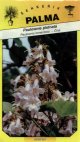 Paulownia plstnatá