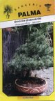 Stromček bonsai