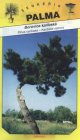 Stromček bonsai