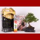 Stromček bonsai