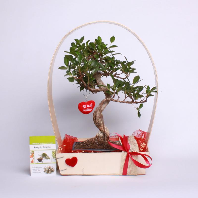 Valentínske darčekové balenie do 65 €