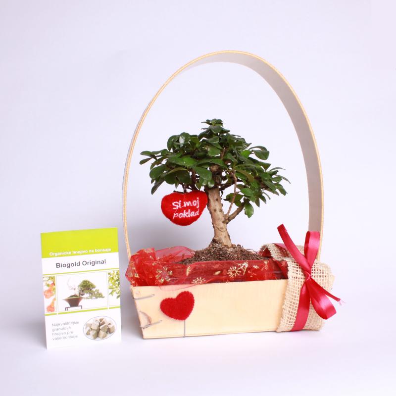 Valentínske darčekové balenie do 35 €
